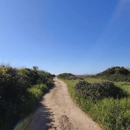 Au Bord De * Calcatoggio (Corsica)